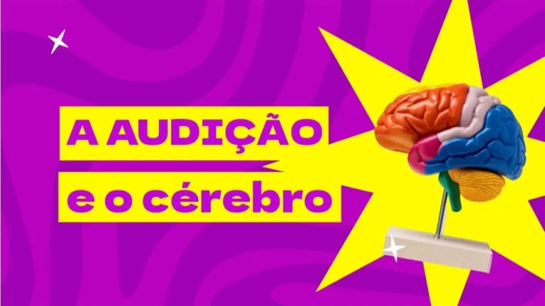a audição e o cérebro