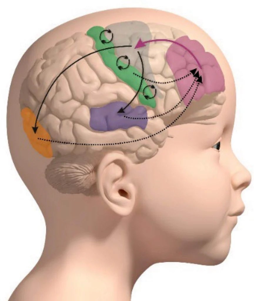 A SURDEZ em bebês é uma URGÊNCIA neurológica surdez em bebes